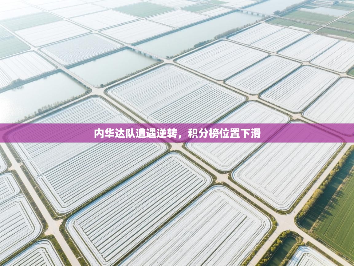 内华达队遭遇逆转，积分榜位置下滑  第2张